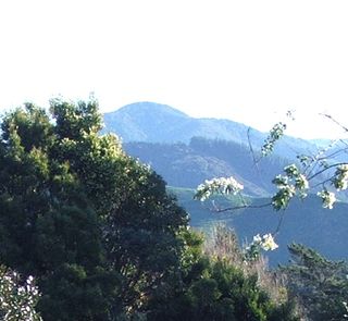 Applications Accepted Dec 11, 2018 - Jan 19, 2019 for the Inaugural Tararua District Fellowship